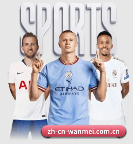 五大服务分区,信息按项目分类（wanmei）